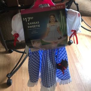 Super cute Dorthy costume